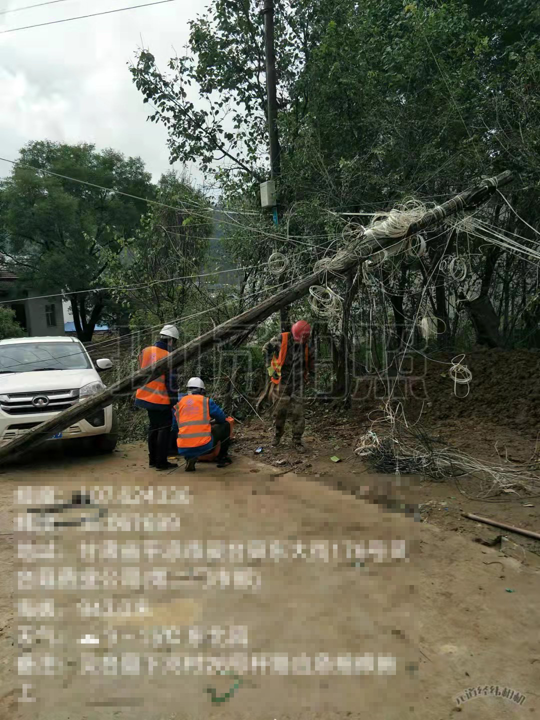 杆倒了网断了
