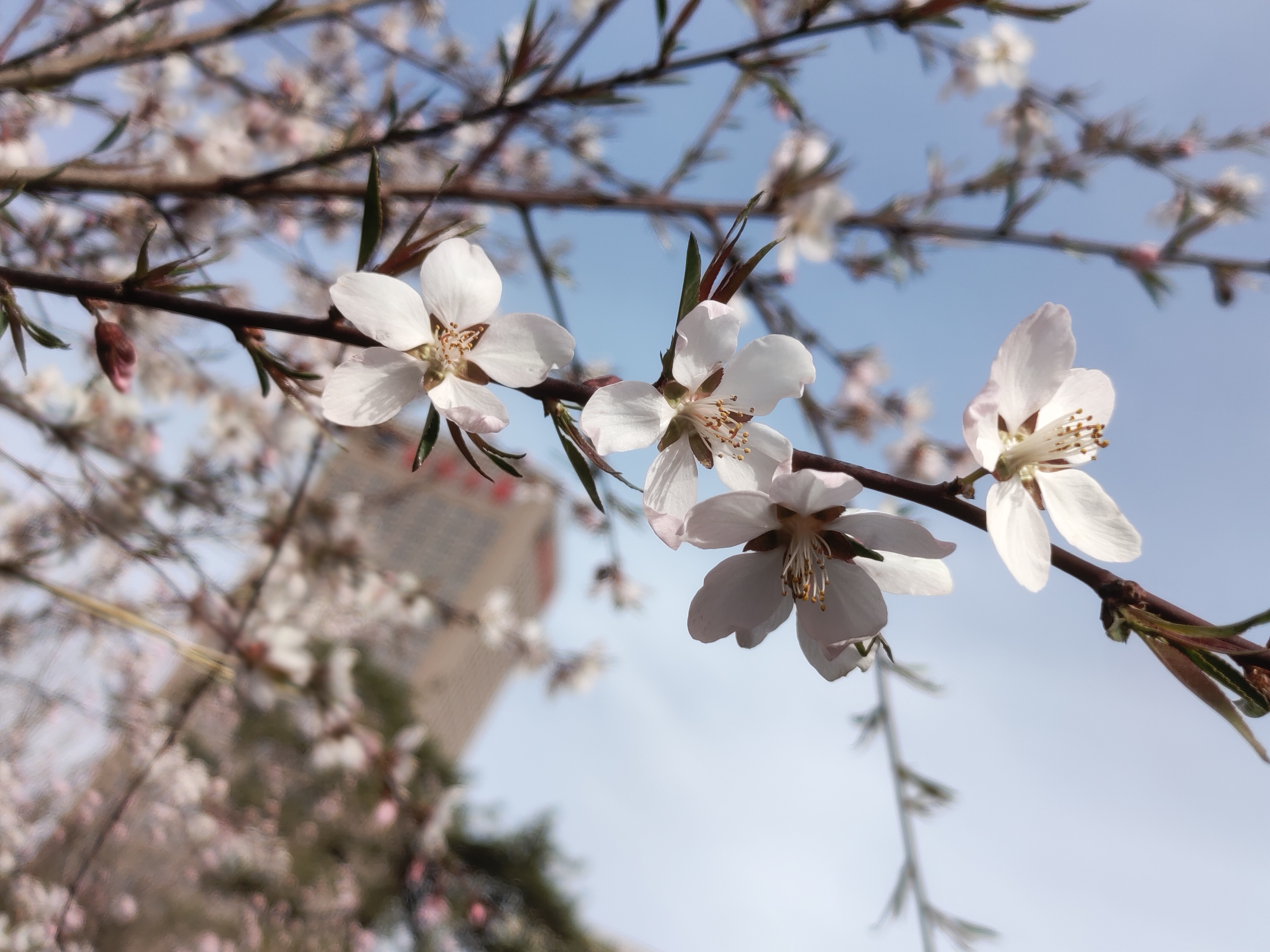 03 春暖花开